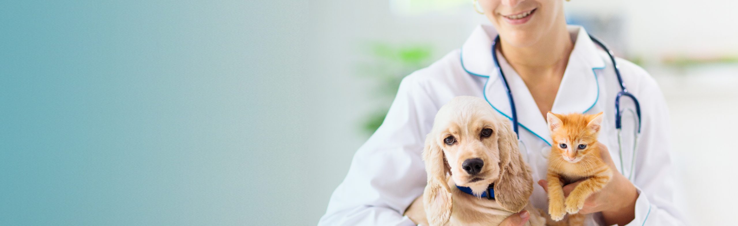 States That Don T Require Vet Tech Certification